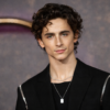 Timothee Chalamet Age: A Complete Guide to His Life, Career, and Success
