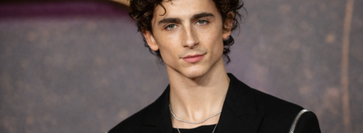 Timothee Chalamet Age: A Complete Guide to His Life, Career, and Success