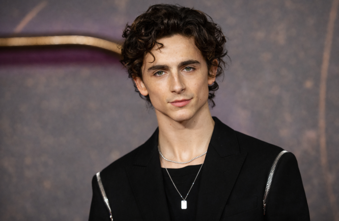 Timothee Chalamet Age: A Complete Guide to His Life, Career, and Success