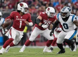 Arizona Cardinals vs Carolina Panthers Match Player Stats Overview