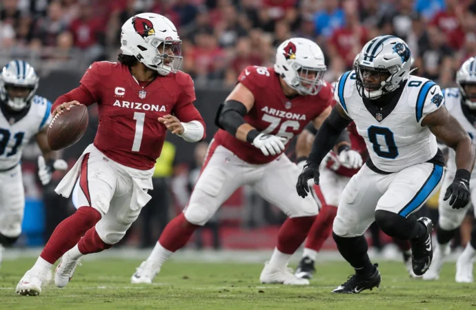 Arizona Cardinals vs Carolina Panthers Match Player Stats Overview